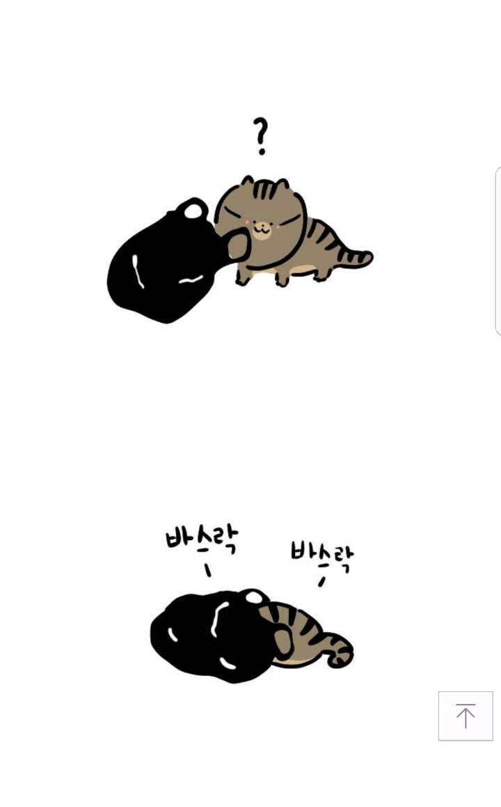 고양이가 자주하는 행동(feat.비닐) | 인스티즈