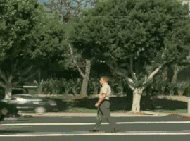 초식동물계의 양아치 | 인스티즈