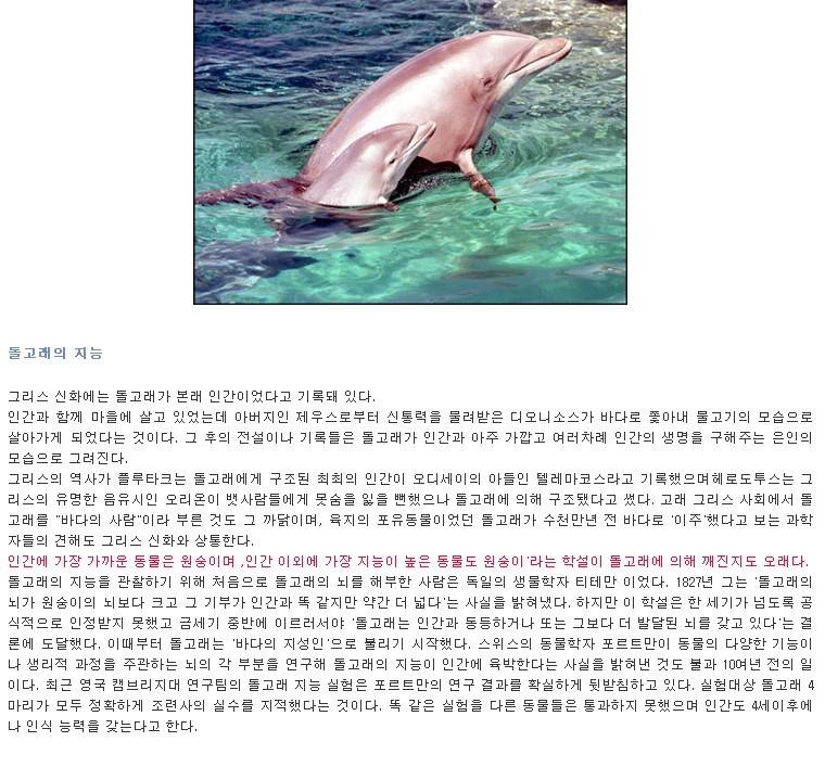 돌고래 지능에 대한 고찰.jpg | 인스티즈