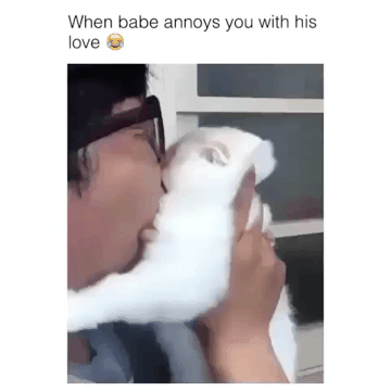 냥이 표정 안좋은데.gif | 인스티즈