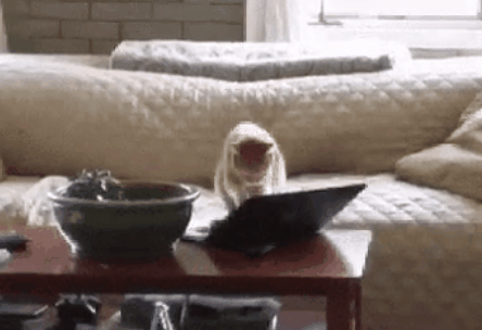 악플러 레전드 | 인스티즈