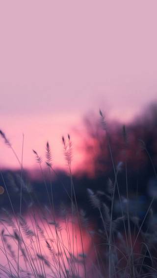 더듬이를 잃은 시간이 아무렇지 않게 흘러가고 있어 | 인스티즈