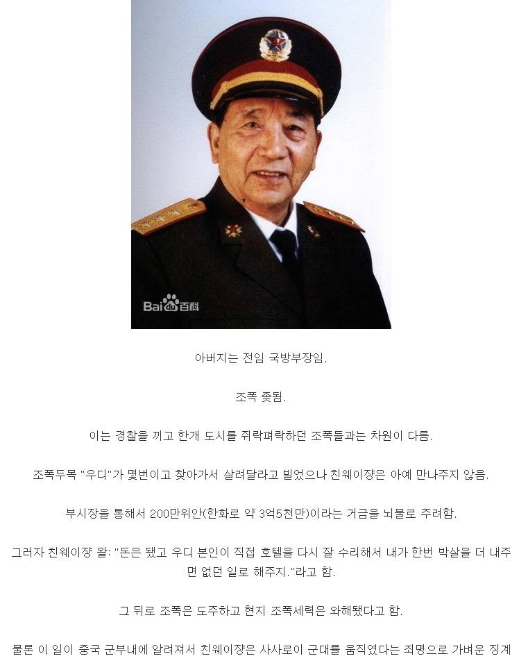 하늘 높은줄 모르고 깝치던 대륙 조폭의 최후 | 인스티즈