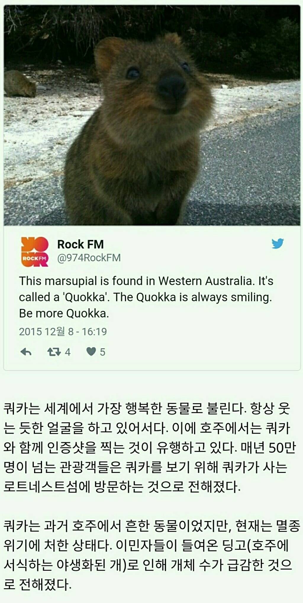 멸종위기에 놓인 귀여운 동물 10가지 | 인스티즈