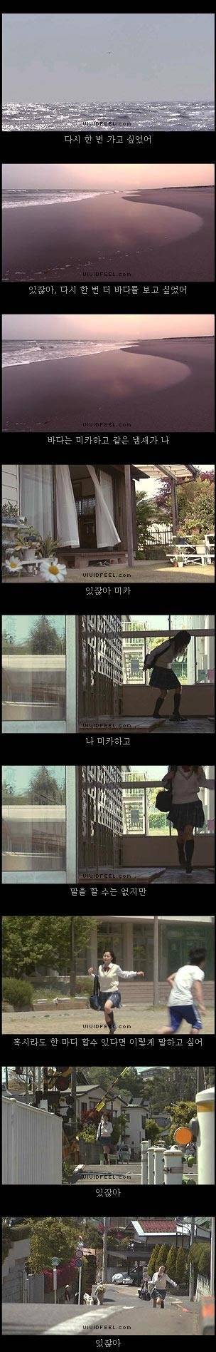 개의 일생 | 인스티즈