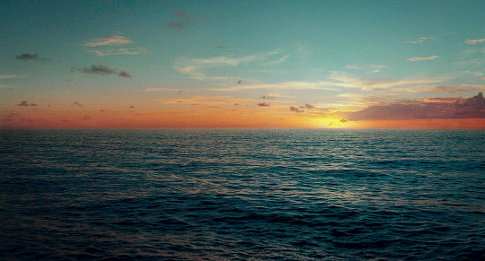 [라이프오브파이] 재개봉하면 아이맥스로 꼭 한번 다시 보고 싶은 영화.gif | 인스티즈