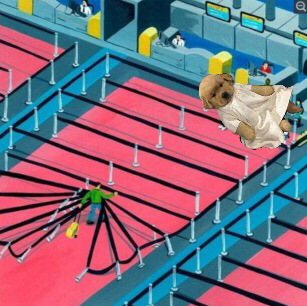 옷입는 동물들,, | 인스티즈