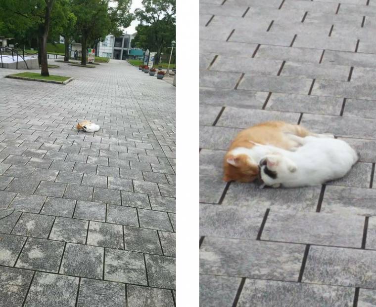 대낮에 길 한복판에서 연애질 하는 민폐 커플 | 인스티즈