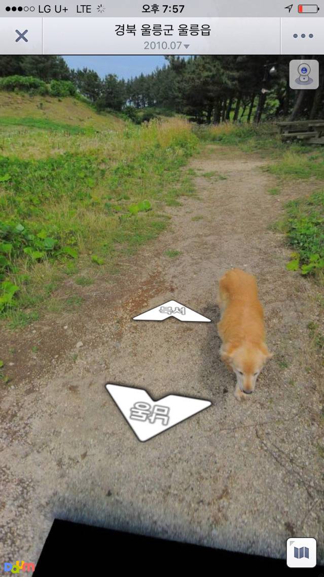 리트리버의 친화력(feat. 로드맵) | 인스티즈