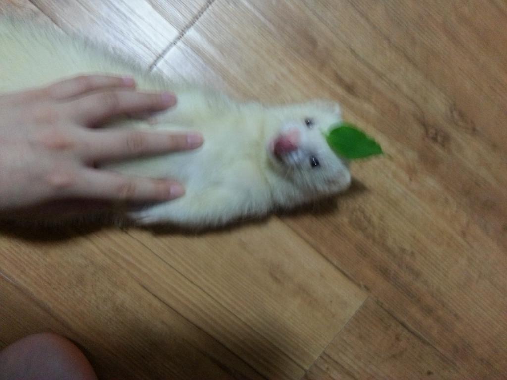 코스프레 | 인스티즈