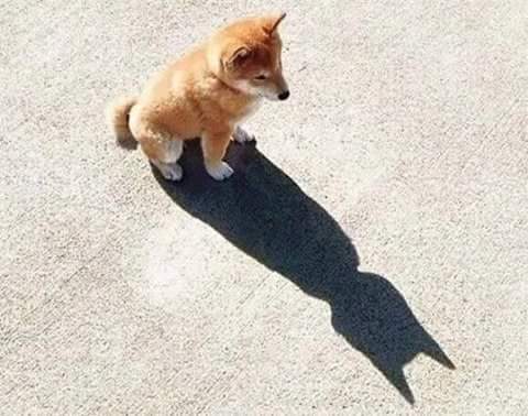 내가 배트맨이었다니 | 인스티즈