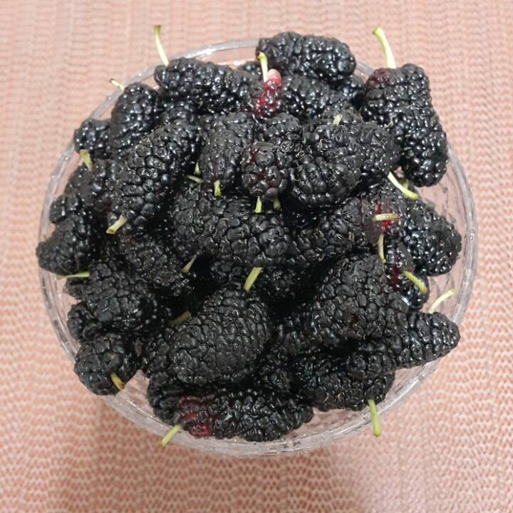 밥을 하는 중이라 | 인스티즈