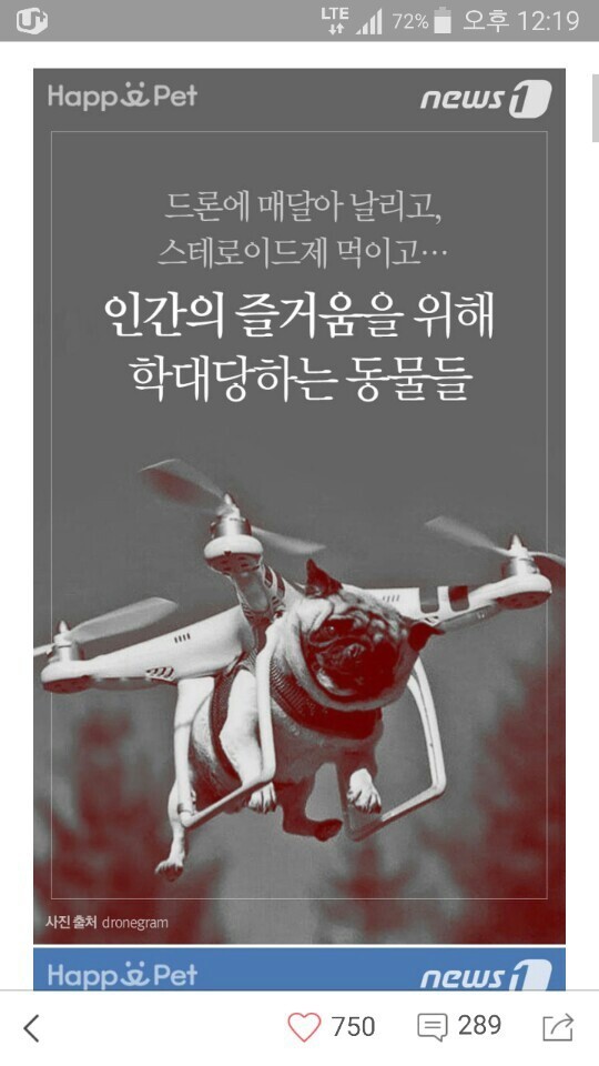 진짜 인간이 가장무섭다.jpg | 인스티즈