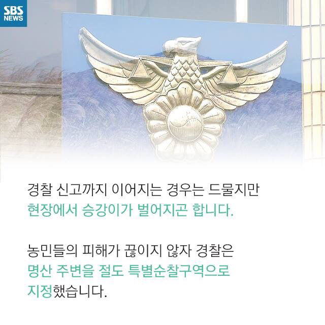 시골인심을 강요하는 사람들때문에 피해보는 농부들 | 인스티즈