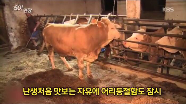 감사함을 아는 동물 | 인스티즈