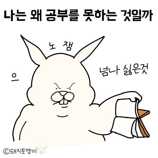 공부 안하는 사람들 특징 | 인스티즈