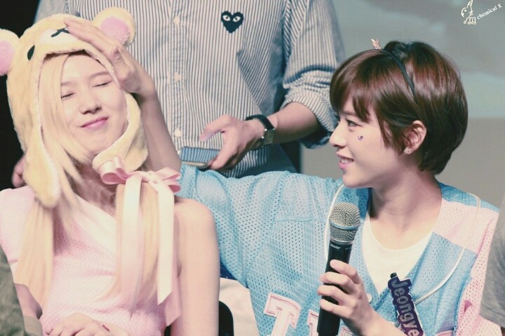 트와이스 애완 멤버.gif | 인스티즈