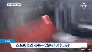 지진에 대처하는 포항의 계산원.gif | 인스티즈