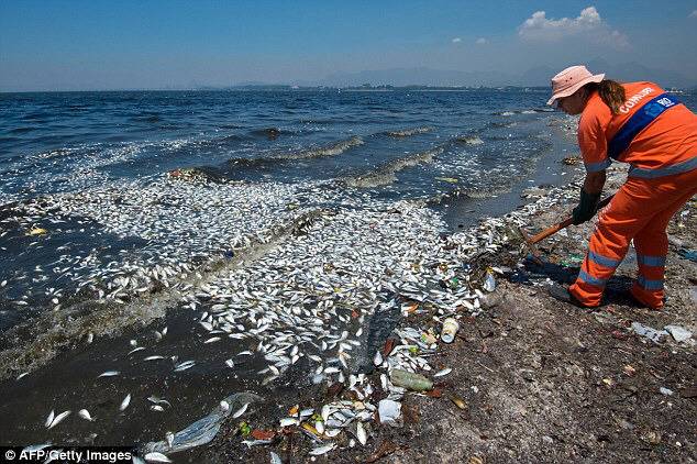 브라질 리우데자네이루의 해변 상황 ㅠㅠ | 인스티즈