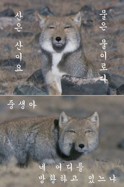 여초 카페 망상방 마다 갈리는 독자들 유형 | 인스티즈