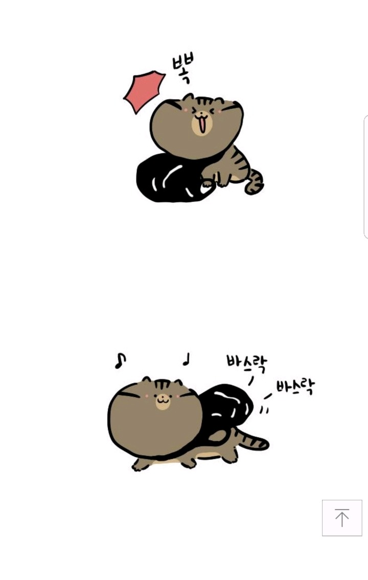 고양이가 자주하는 행동(feat.비닐) | 인스티즈