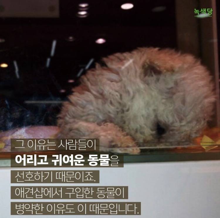 인간의 잔인함 .jpg | 인스티즈