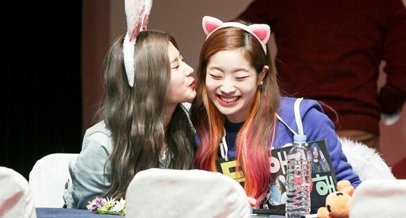 트와이스 애완 멤버.gif | 인스티즈