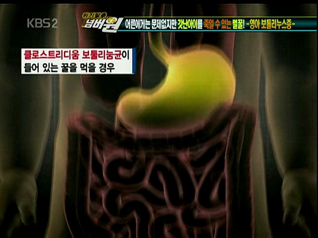 1살 미만 아이에겐 꿀을 절대 먹이면 안된다? | 인스티즈