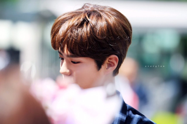 오늘자 박보검 | 인스티즈