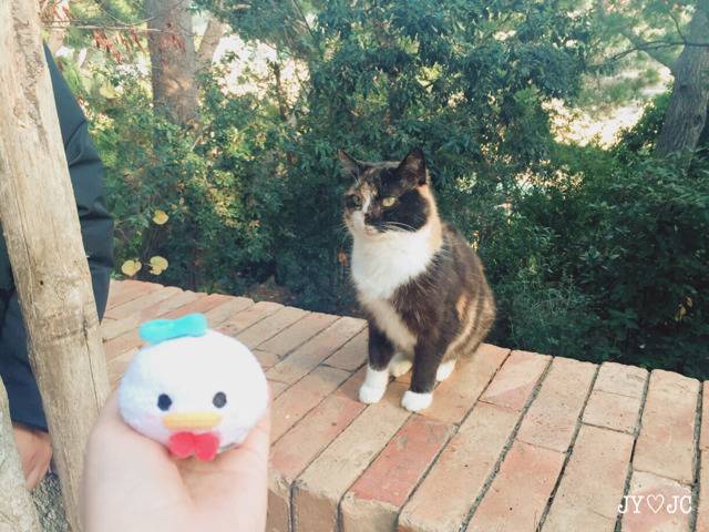 남자친구가 사준 인형과 여행다녀온 여자친구2.jpg | 인스티즈