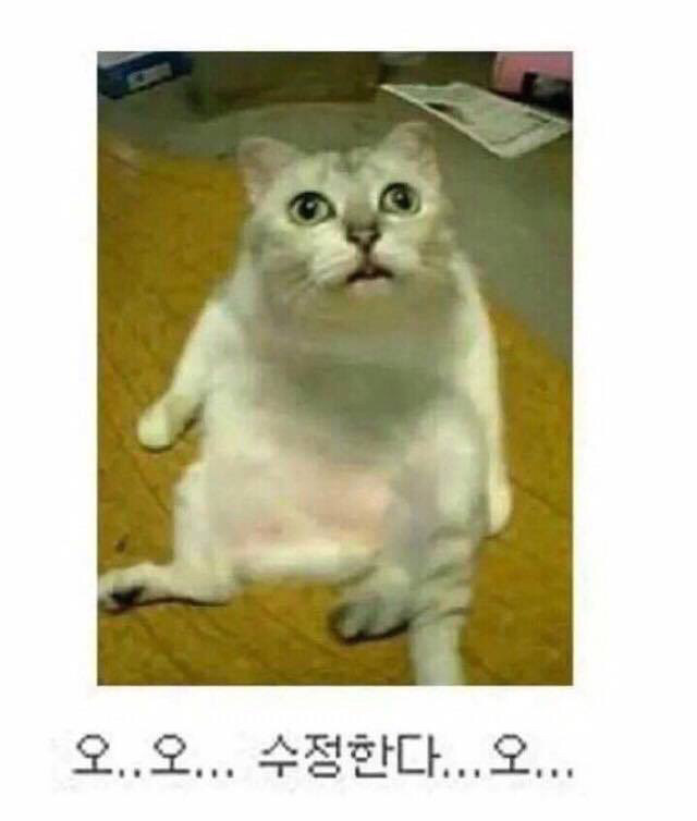 공대생의 일반적인 수업 | 인스티즈