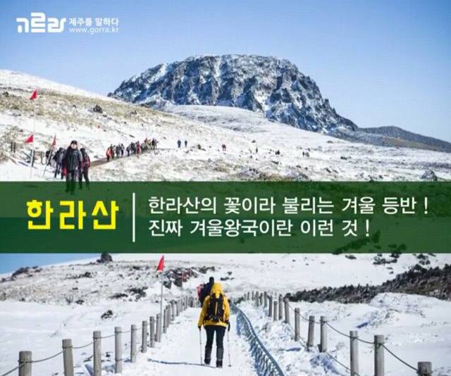 여자친구와 제주도로 여행을 떠나보자 | 인스티즈