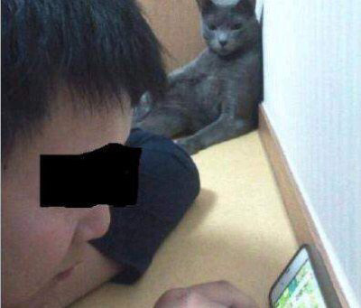 혼자 집에서 할 수 있는 잼는 놀이들 ㅇㅅaㅇ | 인스티즈