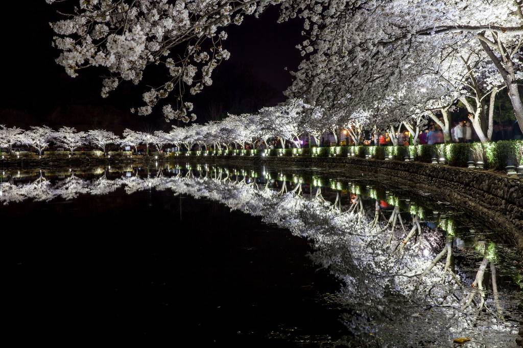 한국에서 가장 살기 좋은 도시 top10.jpg | 인스티즈