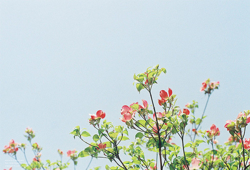 인생이 눈물이면 죽음은 사랑인가요 | 인스티즈