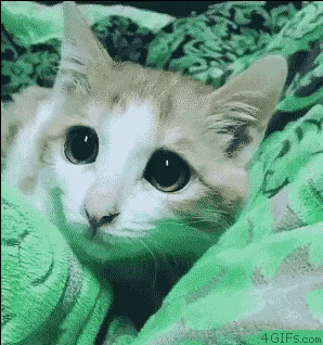 무서운 짤.gif | 인스티즈