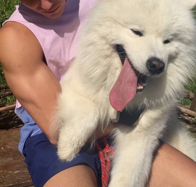 충격적으로 귀여운 대왕 솜뭉치 | 인스티즈