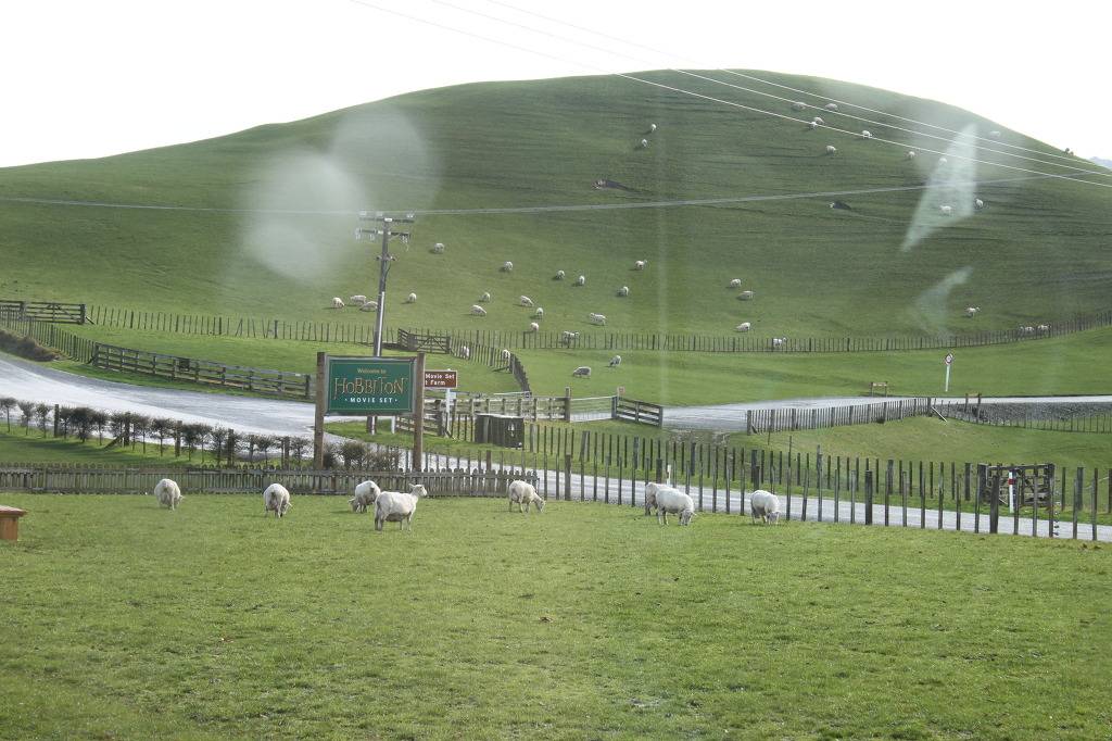 뉴질랜드 여행 - 코로만델 Cathedral Cove (나니아 연대기 촬영지) | 인스티즈
