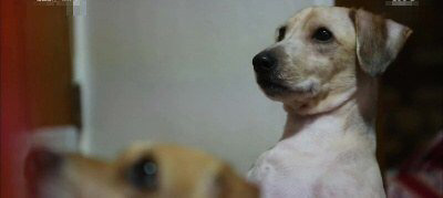 혼자 집에서 할 수 있는 잼는 놀이들 ㅇㅅaㅇ | 인스티즈