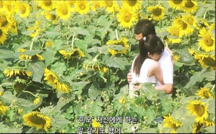 일본 최고의 멜로 영화 TOP4 | 인스티즈