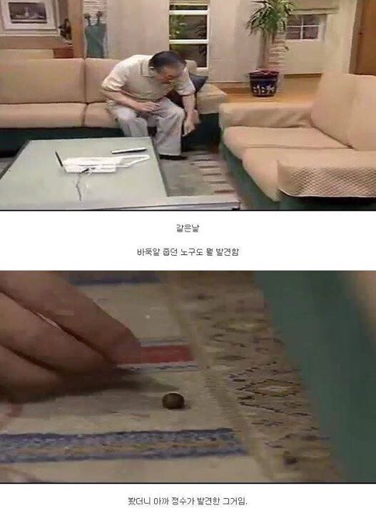 다시보는 레전드 토끼사건 | 인스티즈