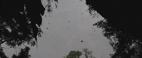 창가에 비추지 못한 그의 모습이 꿈 속에서는 흘러다녔으면 좋겠어요 | 인스티즈