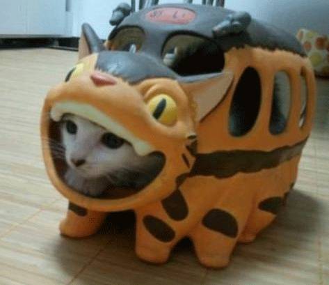 옷입는 동물들,, | 인스티즈