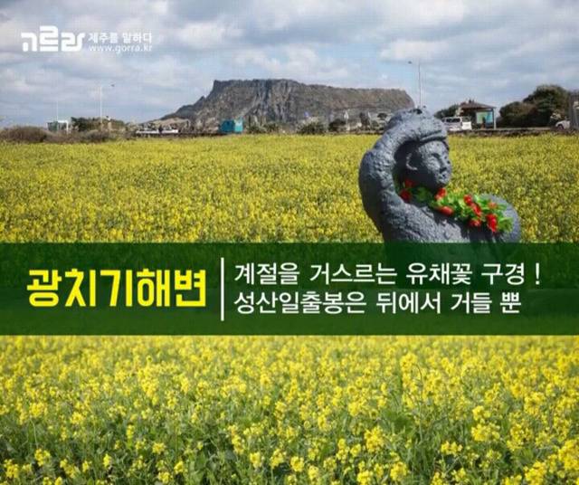 여자친구와 제주도로 여행을 떠나보자 | 인스티즈