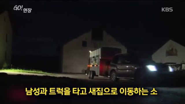 감사함을 아는 동물 | 인스티즈