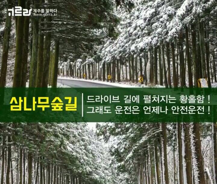 제주 겨울 여행지 12.jpg | 인스티즈