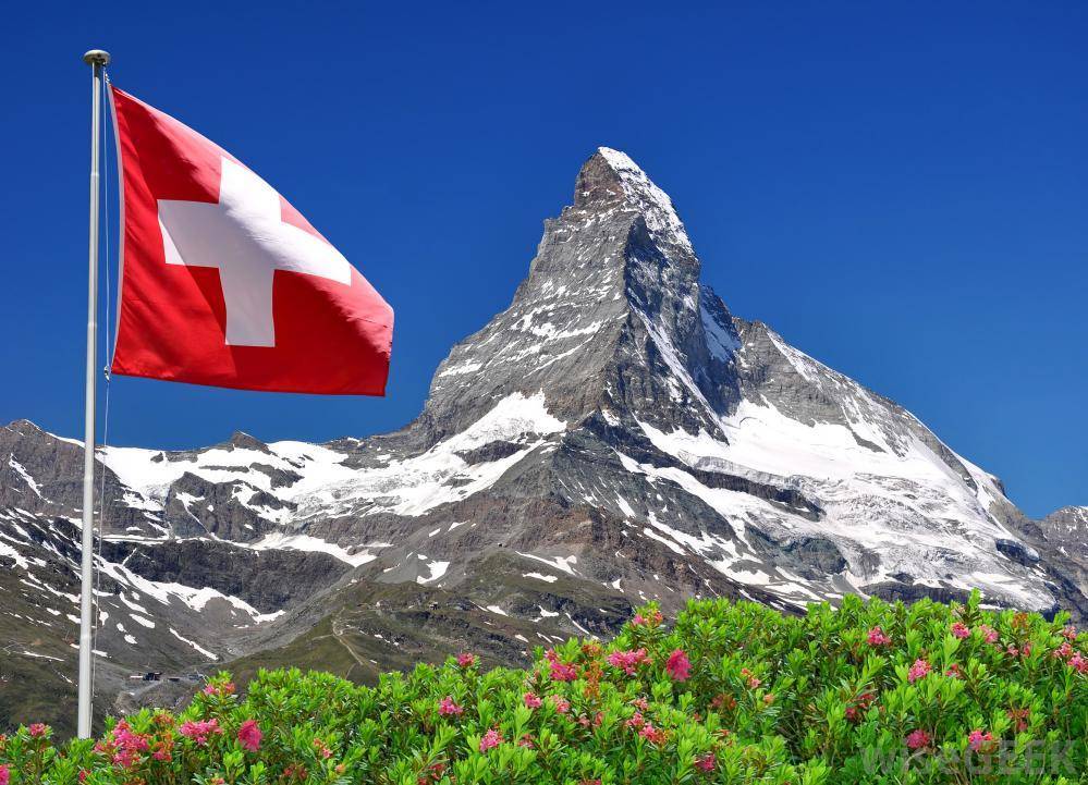 스위스의 토렌트 다운 관련 공식 입장 | 인스티즈