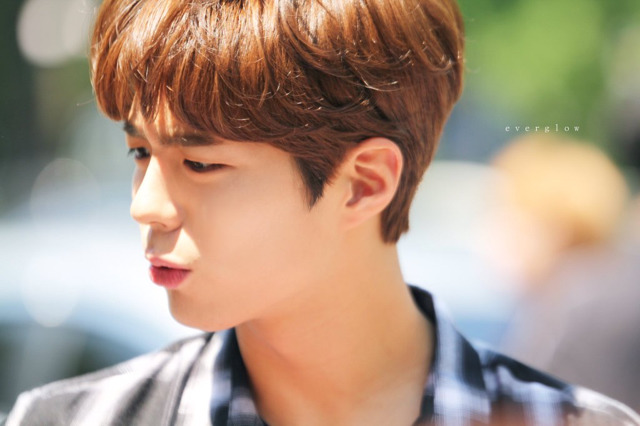 오늘자 박보검 | 인스티즈