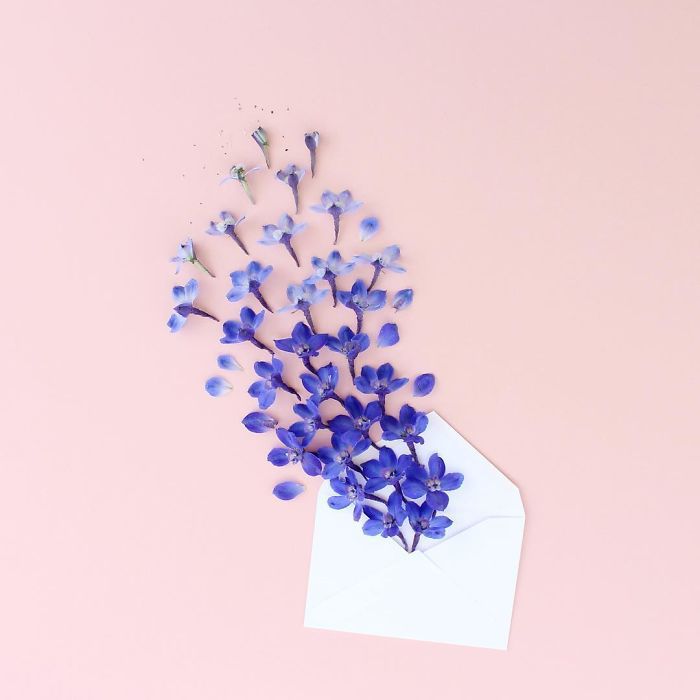 기분이 좋아지는 사진 | 인스티즈