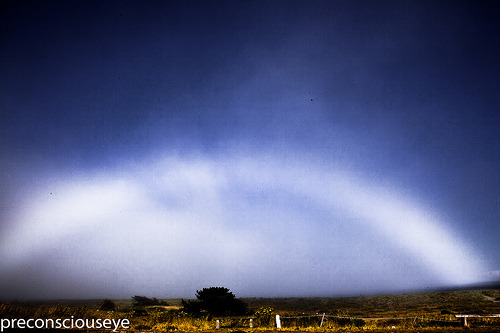 특이한 무지개들 | 인스티즈